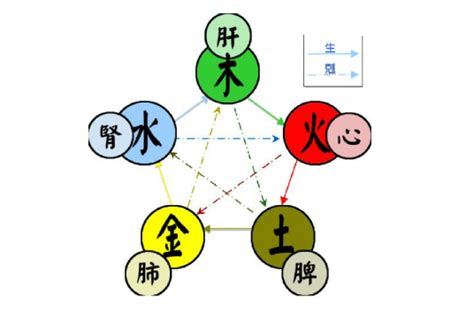 木 金|五行（对万事万物的取象比类）